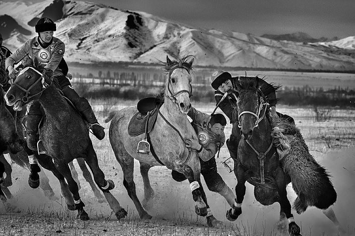 Dodho Gallery, exhibition Dead Goat Polo, © Alain Schroeder