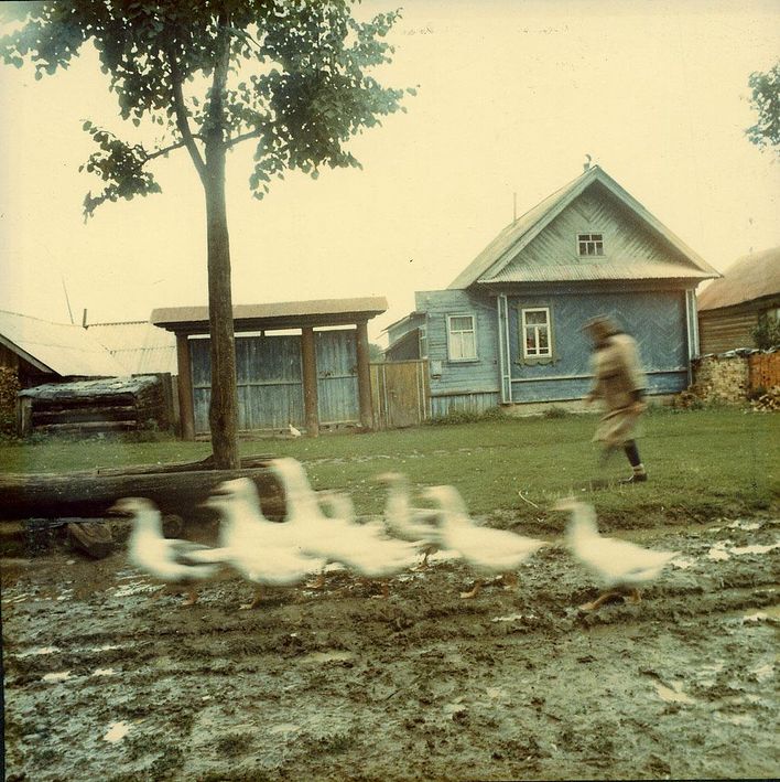 Сергей Чиликов. Из цикла «Колоризмы», из серии «Кузьма», 1995