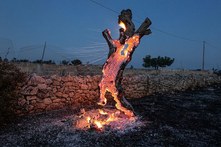 PHODAR Diplom 2021, © Filippo Ferraro