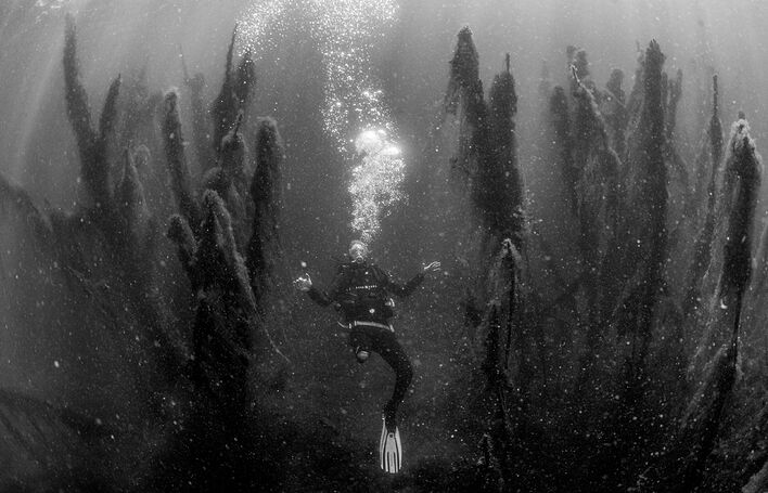 © Михаил Синицын