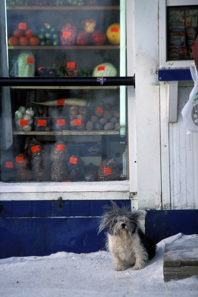 © Александр Тягны-Рядно