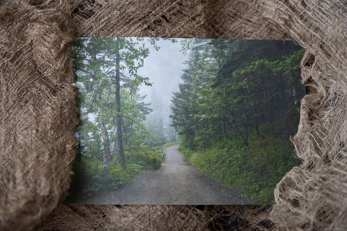 «Таинственная тропа сквозь собственные мысли, Мэн», в рамке из коры шелковицы. © Кристин Клафф
