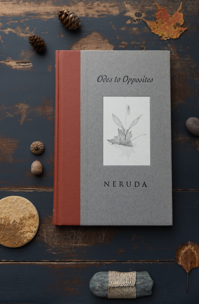 «Ода противоположностям» Пабло Неруды, обернутый камень Тима Уиттена, известняк, а также засушенные листья, желуди и сосновые шишки, собранные в штате Мэн во время прогулок. © Кристин Клафф