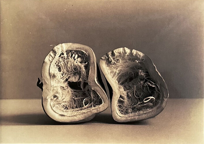 Без названия. Лит-печать. © Сергей Дождиков