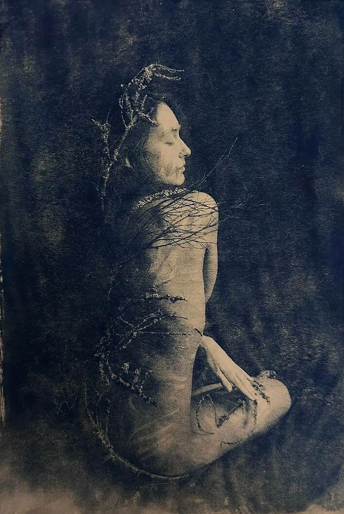 «Ветви». Цианотипия. © Даниэла Мун