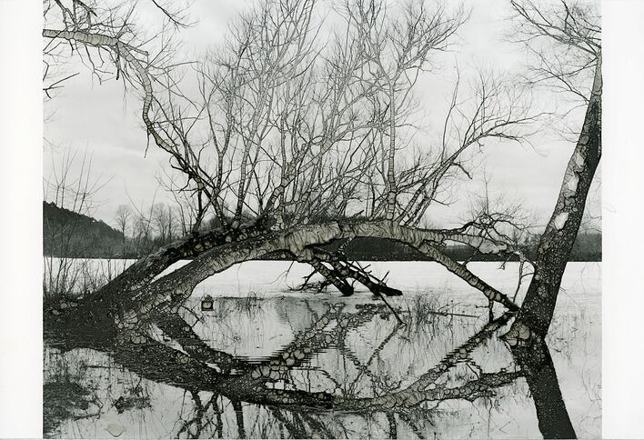 © Кирилл Коробов