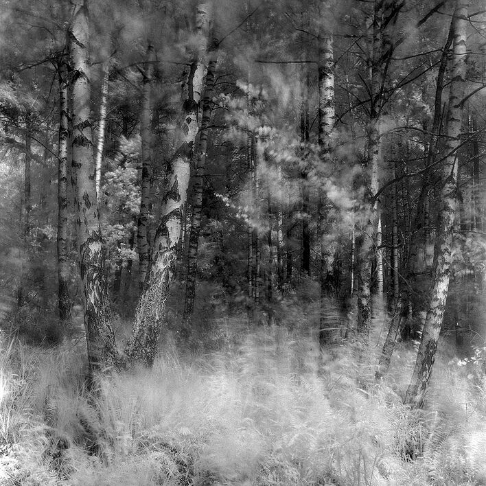 © Ольга Панова