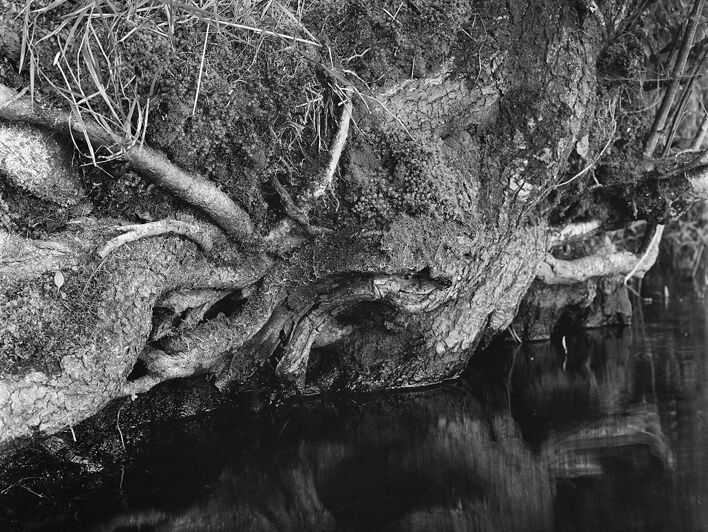 © Ольга Панова