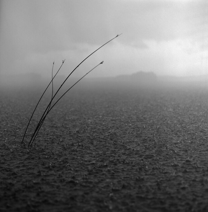 © Ольга Панова