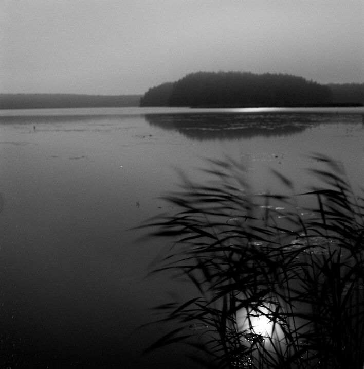 © Ольга Панова