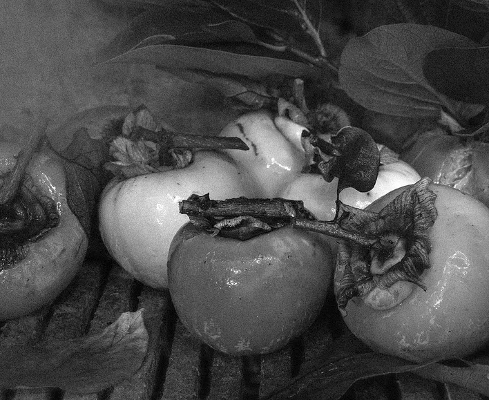 Фото из книги Чезаре Ди Кола «La prima foglia». Предоставлено автором