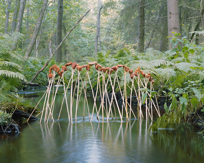 © Фёдор Тощев