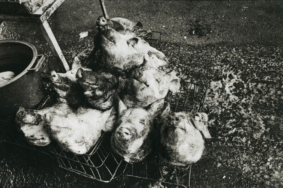 ©Алексей Мякишев