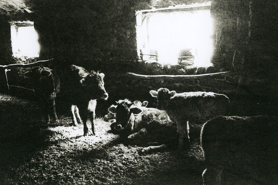 ©Алексей Мякишев