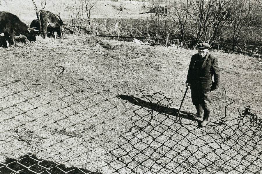 ©Алексей Мякишев