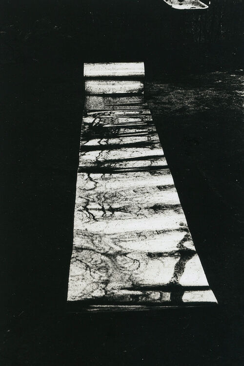 ©Алексей Мякишев