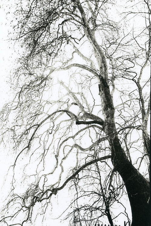 ©Алексей Мякишев