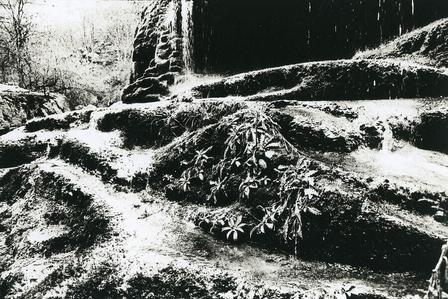 ©Алексей Мякишев