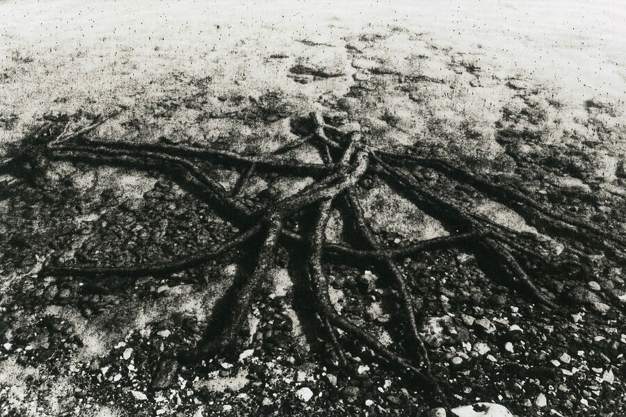 ©Алексей Мякишев