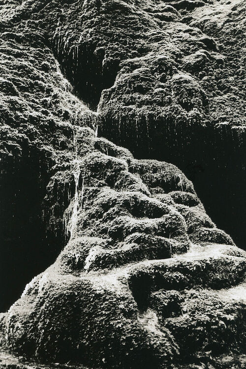 ©Алексей Мякишев