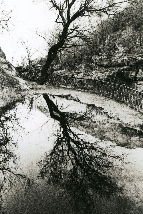 ©Алексей Мякишев