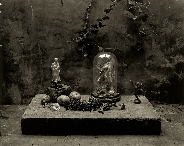 Копирование голландских мастеров в садовом сарае. © Дон МакКаллин