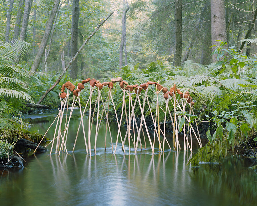 ©Фёдор Тощев. «28. Дмитрехово»