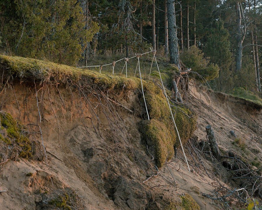 ©Фёдор Тощев. «36. Шуморово»