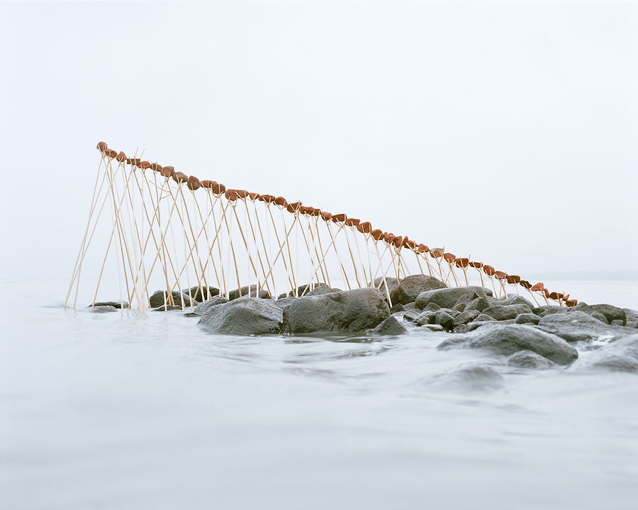 ©Фёдор Тощев. «75. Шуморово»