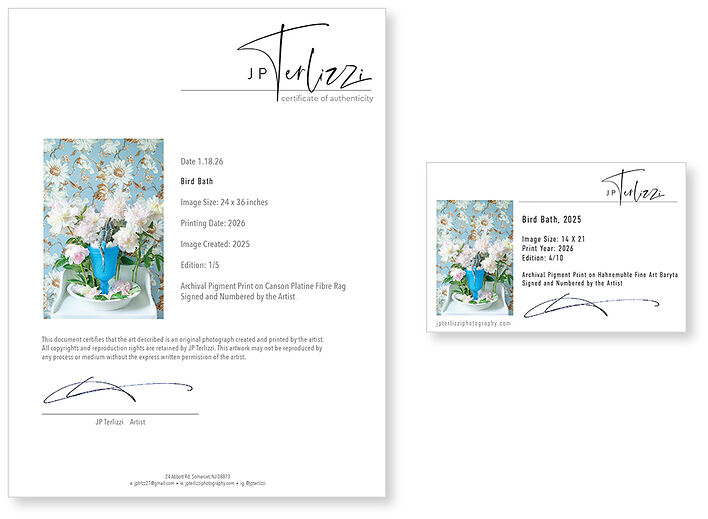 © Дж. П. Терлицци, образец сертификата подлинности и этикетки с подписью.