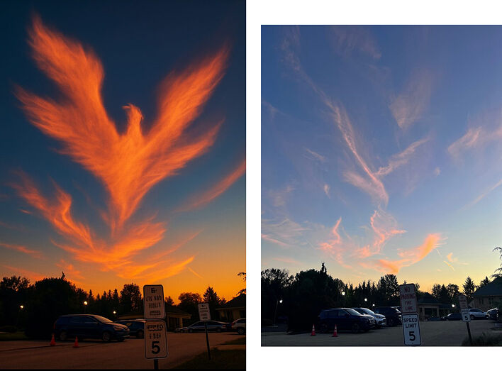 «Послание с небес», © Сьюзи Пиледжи