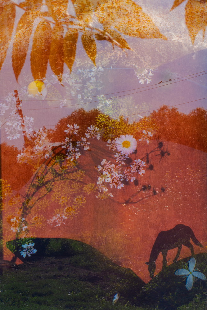 «Согретые солнцем дни», @ Светлана Носкова