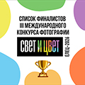 От аналоговой фотографии до AI: как меняются смыслы в фотоискусстве