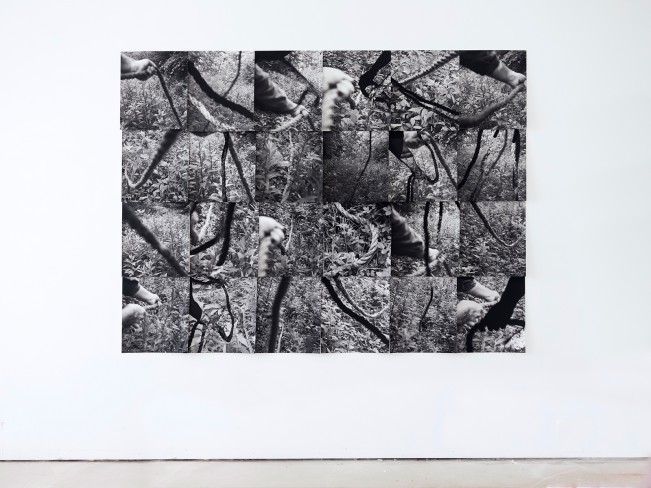 Untitled (2025), © Козетта Рассел