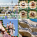 Фотоконкурс "Nature in Gaudí. Ángeles Omedas Millan Prize"