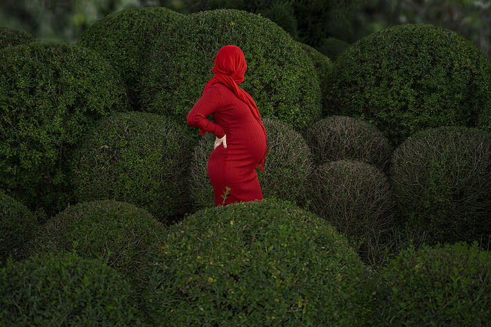 © Елизавета Виноградская