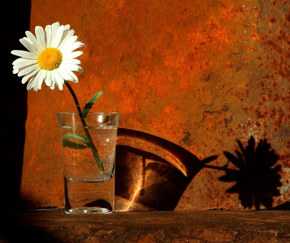 Konstantin Stepuro. still life. Untittled